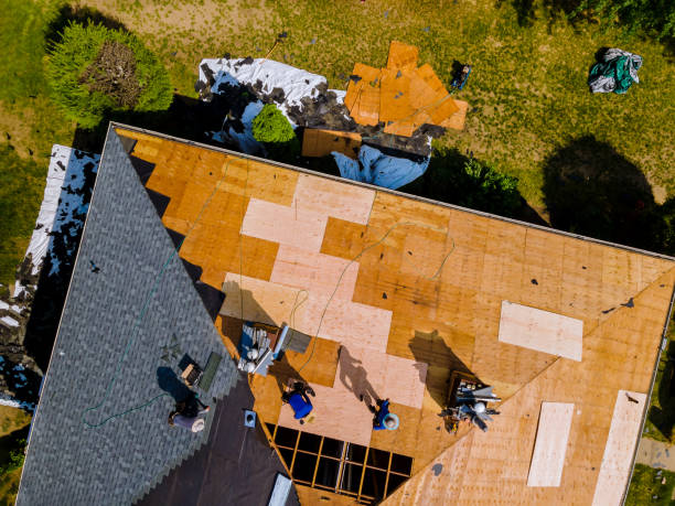 Best Roof Repair Services  in Warren, PA