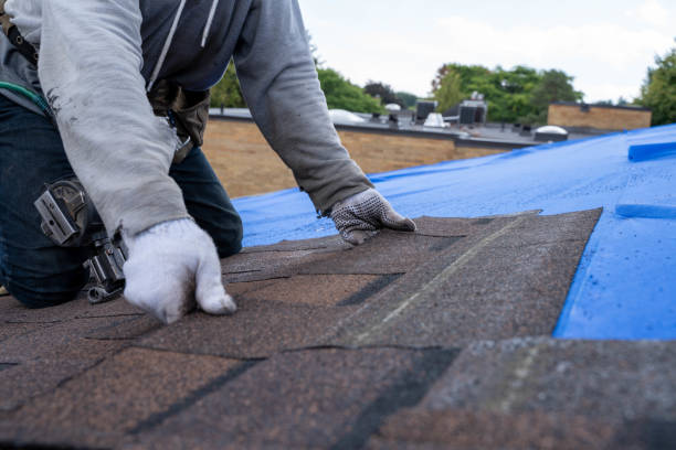 Best Roof Gutter Cleaning  in Warren, PA