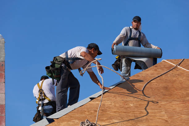Best Roof Leak Repair  in Warren, PA